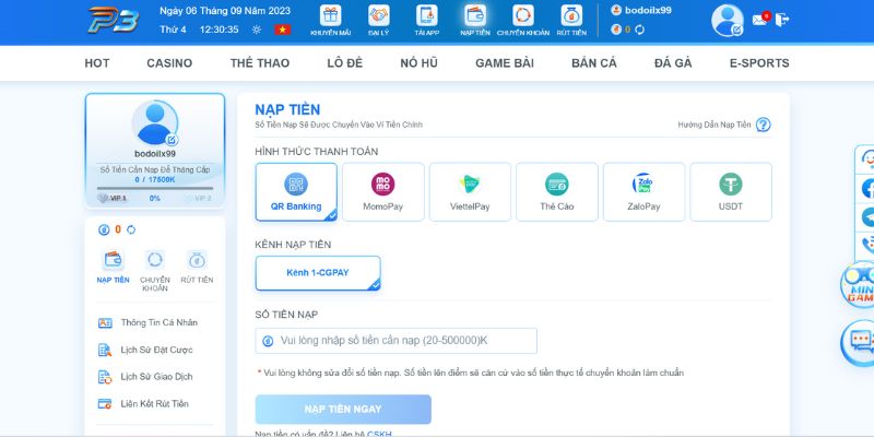 có rất nhiều phương thức nạp tiền P3 khác nhau để người chơi lựa chọn lựa