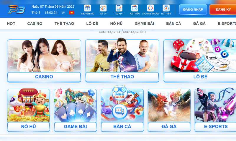 Bạn hiểu thế nào về chính sách miễn trừ trách nhiệm p3